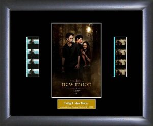 Twilight New Moon