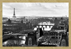 Paris City - oak