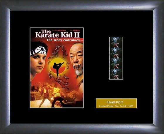 The Karate Kid Part II