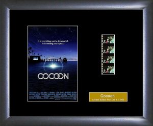 Cocoon