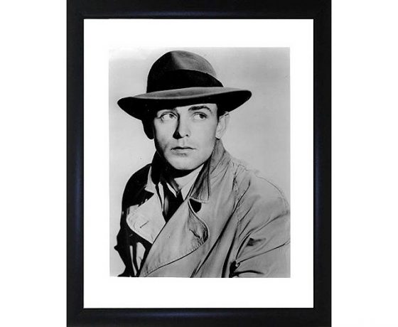 Alan Ladd