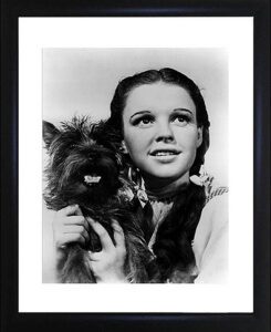 Dorothy Wizard of Oz photo