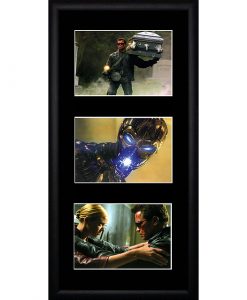 The Terminator
