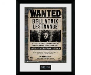 Harry Potter - Bellatrix