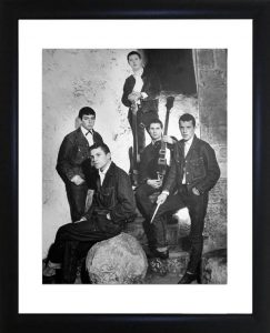 The Animals