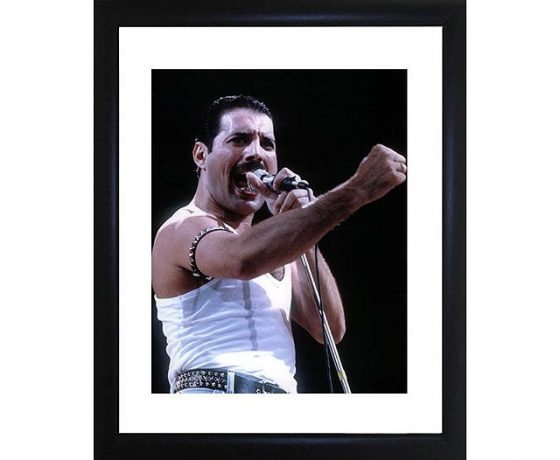 Freddie Mercury