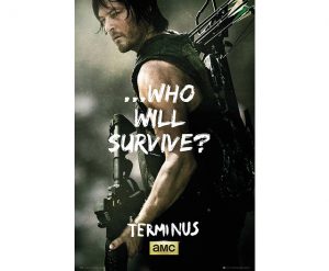 The Walking Dead - Daryl
