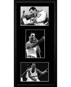 Freddie Mercury Photo